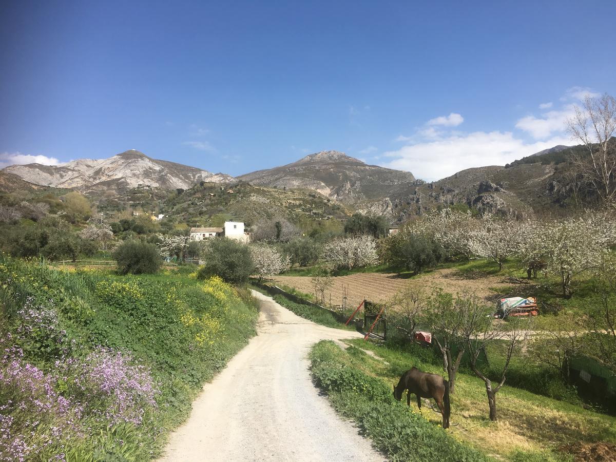 Hotel Rural Fuente La Teja Guejar Sierra Esterno foto